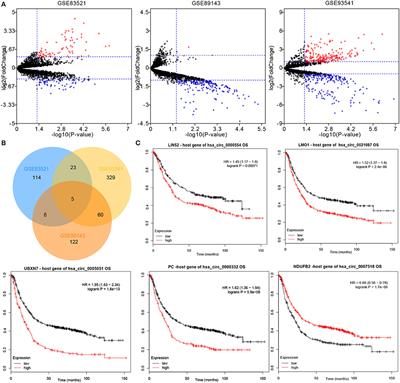 A Dual-Circular RNA Signature as a Non-invasive Diagnostic Biomarker for Gastric Cancer